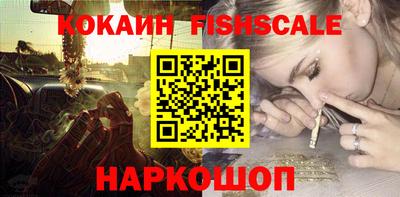 гашик Камышлов