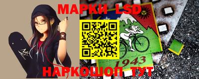 гашик Камышлов