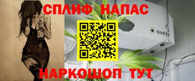 гашик Камышлов