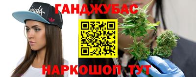 гашик Камышлов