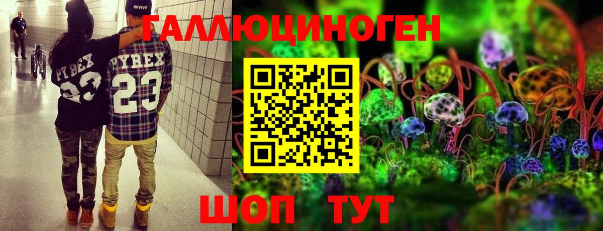 Ухта  Псилоцибиновые грибы GOLDEN TEACHER  Вход с VPN 