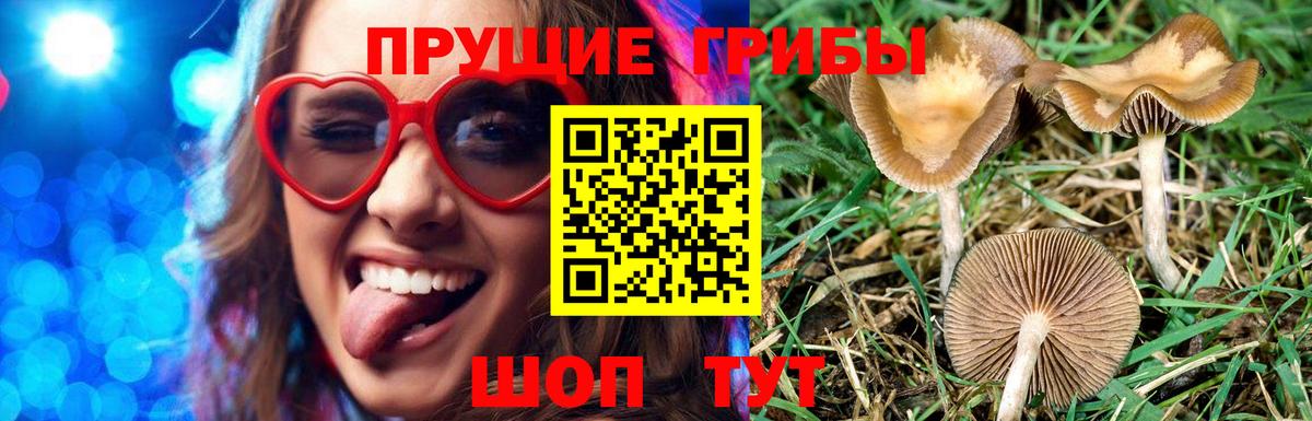 Галлюциногенные грибы мухоморы Ухта